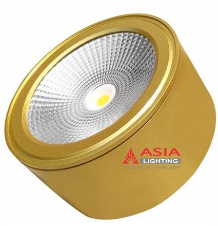 Âm trần vuông thân trắng - Chóa trắng 10W